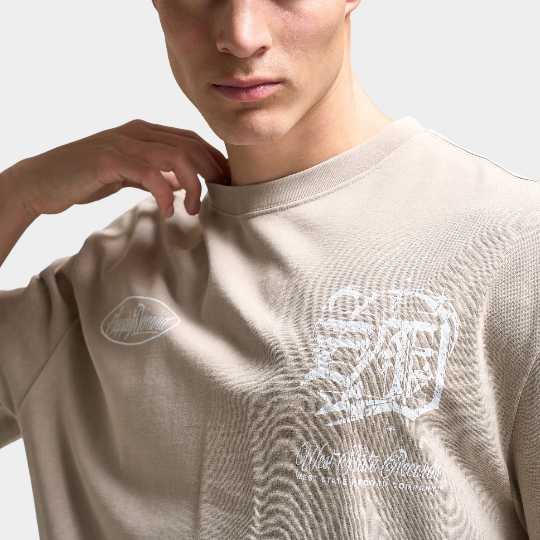 Supply & Demand Finley Graphic T-Shirt / Washed Taupe